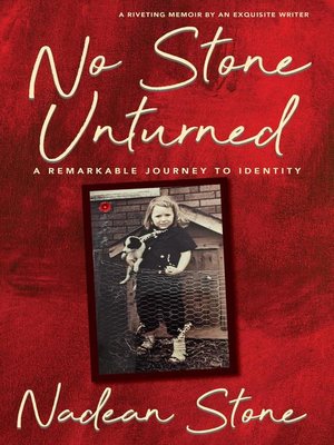 cover image of No Stone Unturned
